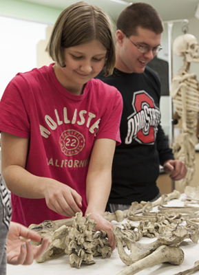 Forensic students studying bones